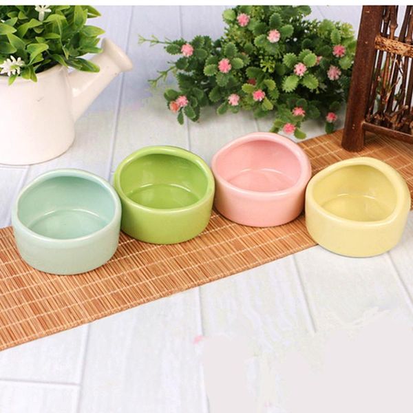 cat costumes pet dog food bowl ceramic snack hamster golden silk bear xishi round small bird
cat costumes pet dog food bowl ceramic snack hamster golden silk bear xishi round small bird