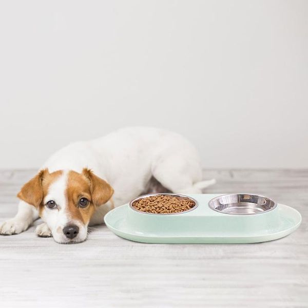 cat bowls & feeders splash and leakproof double pet dog food water feeder stainless steel drinking dish puppy feeding container
cat bowls & feeders splash and leakproof double pet dog food water feeder stainless steel drinking dish puppy feeding container