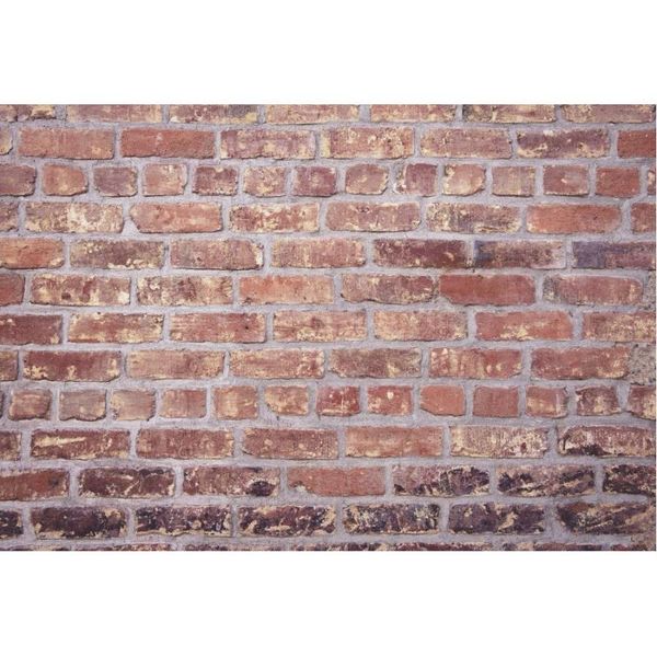 party decoration solid wall backdrop antique red brick pography backgrounds family decor born bride po booth studio prop
party decoration solid wall backdrop antique red brick pography backgrounds family decor born bride po booth studio prop