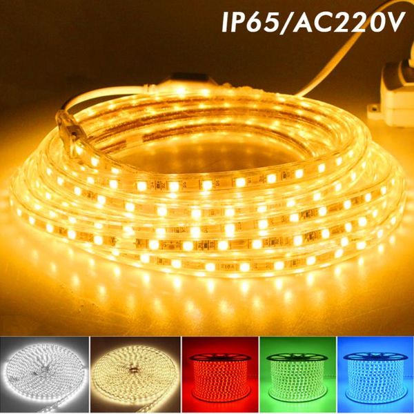 strips led rgb strip smd flexible waterproof ac220v auto neon light living room bedroom lighting tv backlight car decoration
strips led rgb strip smd flexible waterproof ac220v auto neon light living room bedroom lighting tv backlight car decoration