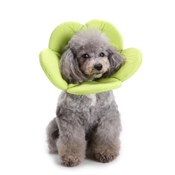 dog collars & leashes soft sponge flower shape cat collar pet elizabeth circle wound healing anti-bite
dog collars & leashes soft sponge flower shape cat collar pet elizabeth circle wound healing anti-bite