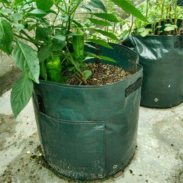 planter pe cloth planting vegetable gardening pot grow bag garden tool potato container diy planters & pots
planter pe cloth planting vegetable gardening pot grow bag garden tool potato container diy planters & pots