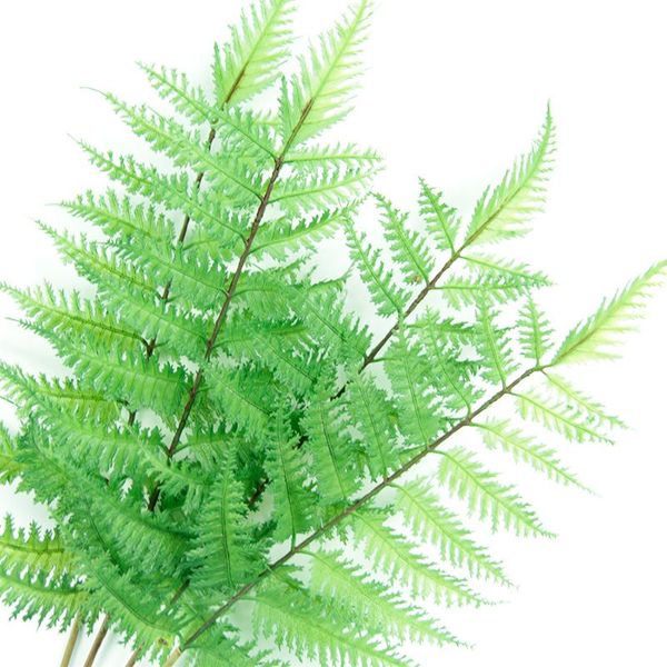 simple ins-style artificial plant simulated leaves monolithic pot leaf fern leaf home pastoral style decoration pgraphy acce