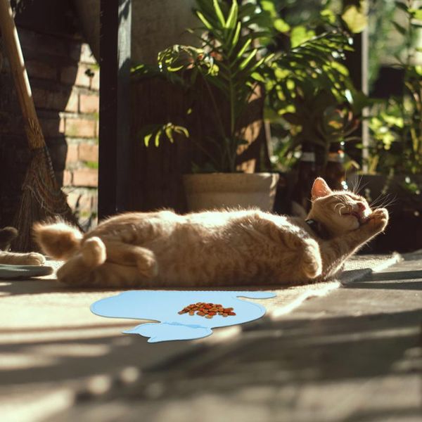 kennels & pens 1 pc pet food mat anti-slip durable creative pad placemat feeding for dogs home pets
kennels & pens 1 pc pet food mat anti-slip durable creative pad placemat feeding for dogs home pets