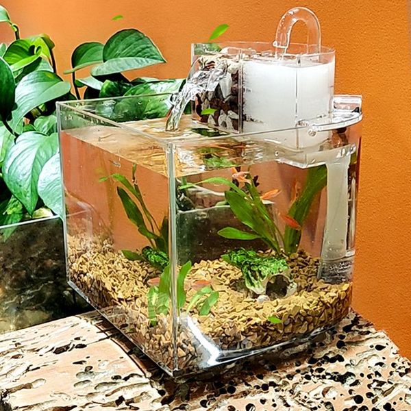 aquariums fashion deskfish tank creative filtration water aquarium household mini ecological landscaping bowls
aquariums fashion deskfish tank creative filtration water aquarium household mini ecological landscaping bowls