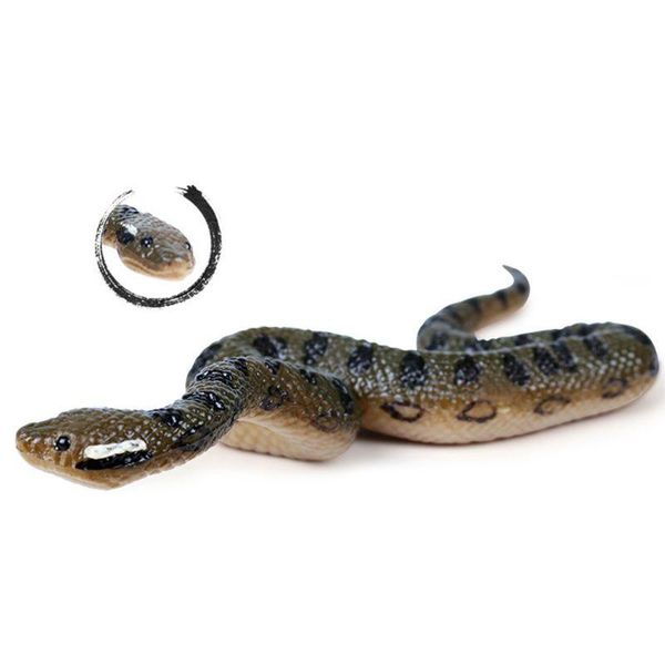 party masks fake realistic rubber toy snake north us green anaconda scary halloween props gxmb
party masks fake realistic rubber toy snake north us green anaconda scary halloween props gxmb