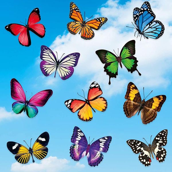 window stickers 20pcs glass sticker butterfly decor home decoration simulation painting birds hummingbird dragonfly static film
window stickers 20pcs glass sticker butterfly decor home decoration simulation painting birds hummingbird dragonfly static film