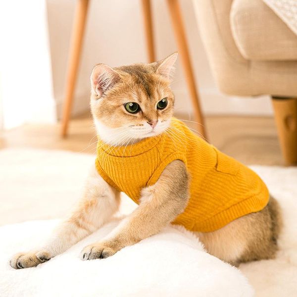 cat costumes sweater clothes winter small dog costume puppy knit apparel pet clothing yorkies poodle pomeranian coat outfit
cat costumes sweater clothes winter small dog costume puppy knit apparel pet clothing yorkies poodle pomeranian coat outfit
