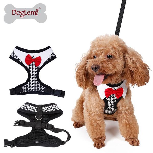 dog collars & leashes 10pc per lot mixed sizes collar harness cat pet safe control easy soft walking strap vest leash for small to large
dog collars & leashes 10pc per lot mixed sizes collar harness cat pet safe control easy soft walking strap vest leash for small to large