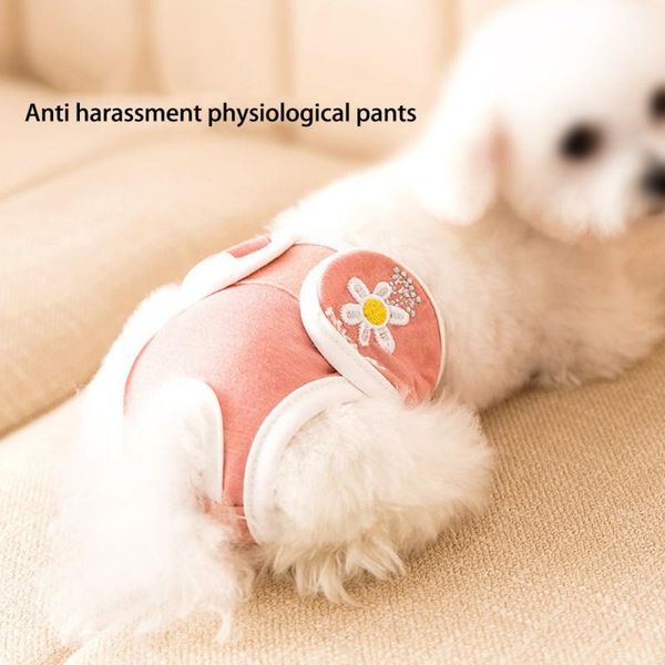 cat costumes pet dog physiological sanitary pants soft comfortable washable reusable menstrual care supplies
cat costumes pet dog physiological sanitary pants soft comfortable washable reusable menstrual care supplies