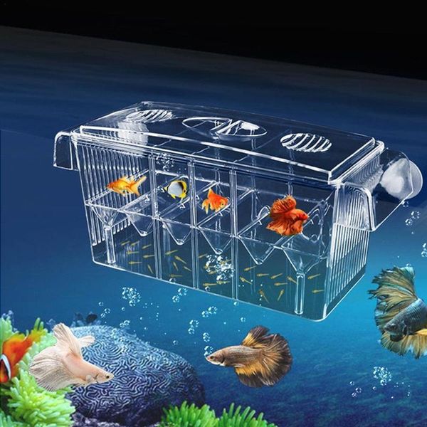 aquariums acrylic fish tank breeding isolation box aquarium hatchery incubator holder supplies accessories
aquariums acrylic fish tank breeding isolation box aquarium hatchery incubator holder supplies accessories