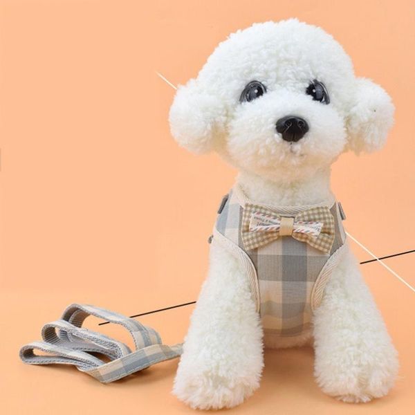 dog collars & leashes pet chest straps breathable mesh korean vest style cotton material bow accessories puppy cat leash supplies
dog collars & leashes pet chest straps breathable mesh korean vest style cotton material bow accessories puppy cat leash supplies