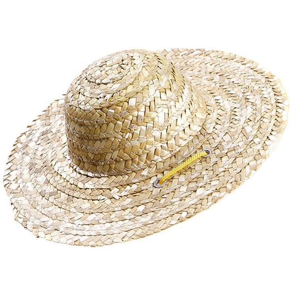 dog apparel 1pcs trendy pet hat cat cool straw sun hats puppy supplies hawaii style accessories dogs cats caps country
dog apparel 1pcs trendy pet hat cat cool straw sun hats puppy supplies hawaii style accessories dogs cats caps country