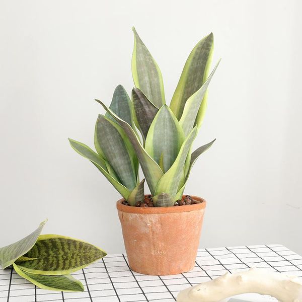 supply of goods northern european-style artificial plant bonsai potted plant plants indoor deskplaced home decoration
supply of goods northern european-style artificial plant bonsai potted plant plants indoor deskplaced home decoration