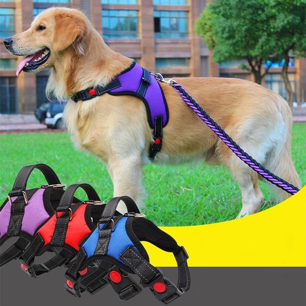 dog collars & leashes factory direct sale oxford cloth pet chest strap traction rope explosion-proof impact medium and large harness
dog collars & leashes factory direct sale oxford cloth pet chest strap traction rope explosion-proof impact medium and large harness