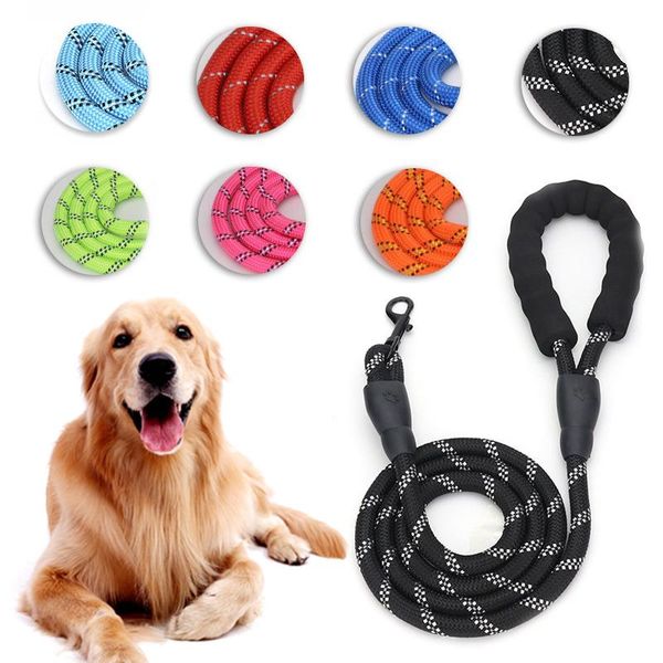 pet products reflective leash nylon multicolor dog leash dog for medium and large pet accessory
pet products reflective leash nylon multicolor dog leash dog for medium and large pet accessory