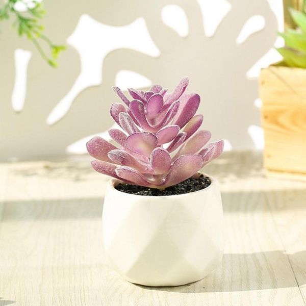 decorative flowers & wreaths good mini wide application pretty potted succulent for gifts artificial plant bonsai
decorative flowers & wreaths good mini wide application pretty potted succulent for gifts artificial plant bonsai