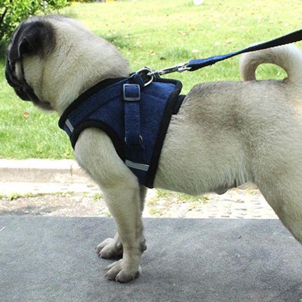 dog apparel pet adjustable soft harness with leash set 4 color 2 size lesh all seasons supplies outdoor for dog, cat
dog apparel pet adjustable soft harness with leash set 4 color 2 size lesh all seasons supplies outdoor for dog, cat