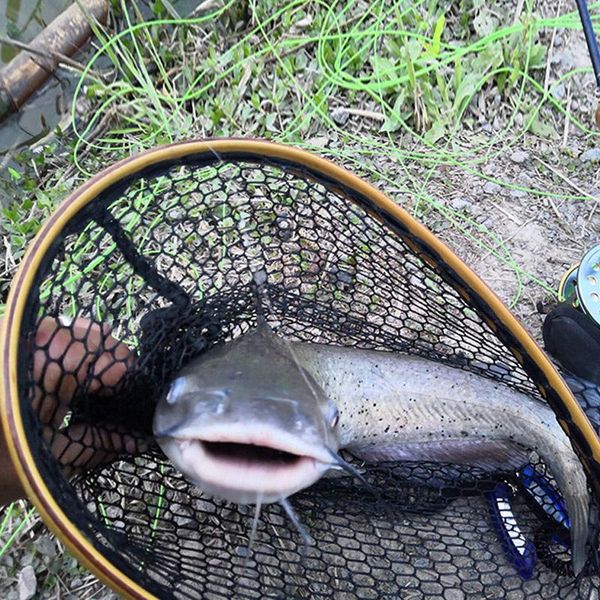 fishing landing net mesh trout catch wooden frame handle portable accessories cmg786
fishing landing net mesh trout catch wooden frame handle portable accessories cmg786