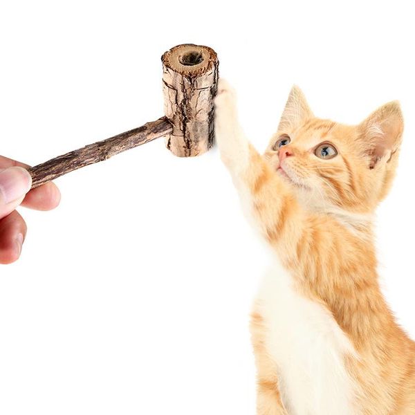 cat toys tooth cleaner wooden mint toy pure natural wood tendon pipe pet molar non-toxicbite
cat toys tooth cleaner wooden mint toy pure natural wood tendon pipe pet molar non-toxicbite