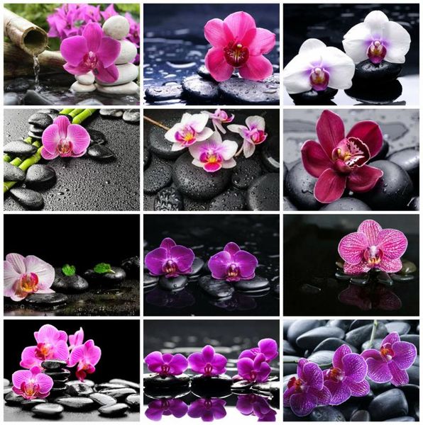 diamond painting evershine orchid stone cross stitch embrodiery flowers picture rhinestones handmade hobby home decor
diamond painting evershine orchid stone cross stitch embrodiery flowers picture rhinestones handmade hobby home decor