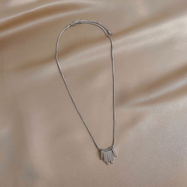 xianlan699 titanium steel strip light chain necklace female ins tide cold wind clavicle luxury niche personality contracted temper, Silver
xianlan699 titanium steel strip light chain necklace female ins tide cold wind clavicle luxury niche personality contracted temper, Silver