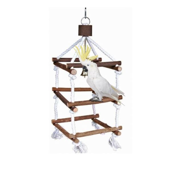 other bird supplies funny wooden attic ladder frame birds cage parrots hanging toy pets parrot chewing climbing toys witn bells
other bird supplies funny wooden attic ladder frame birds cage parrots hanging toy pets parrot chewing climbing toys witn bells