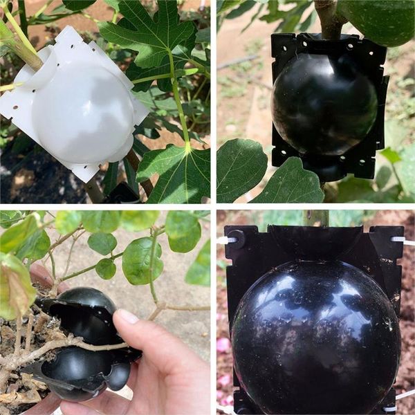 5cm plant rooting ball grafting rooting growing box breeding case for garden plant high-pressure propagation box sapling 2021
5cm plant rooting ball grafting rooting growing box breeding case for garden plant high-pressure propagation box sapling 2021