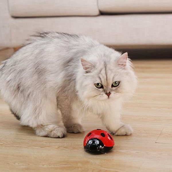 cat toys dog super fun children toy running oarworm interactive cute battery-operated pet supplier catch me if you can
cat toys dog super fun children toy running oarworm interactive cute battery-operated pet supplier catch me if you can