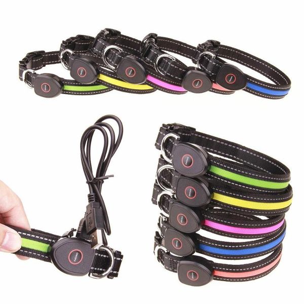 dog collars & leashes led collar usb rechargeable for pets nylon adjustable flashing night cat neck
dog collars & leashes led collar usb rechargeable for pets nylon adjustable flashing night cat neck