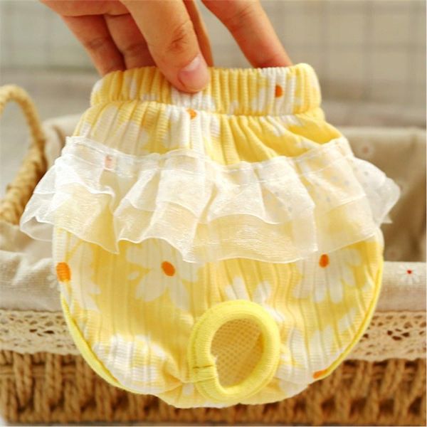 dog apparel printed lace pet health physiological pant sanitary diaper menstruation breathable panties shorts underwear
dog apparel printed lace pet health physiological pant sanitary diaper menstruation breathable panties shorts underwear