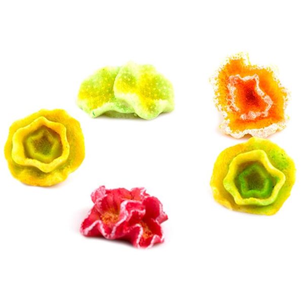 5pcs mini simulation resin coral fish tank landscape decoration coral aquarium decoration
5pcs mini simulation resin coral fish tank landscape decoration coral aquarium decoration