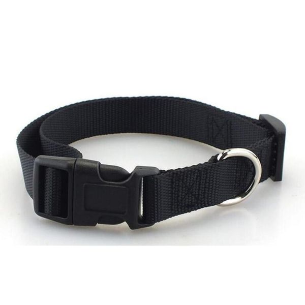 plain coloured polyester collar, nylon pet necklace, dog necklace, small and medium-sized dog pr jllbbm xmhyard
plain coloured polyester collar, nylon pet necklace, dog necklace, small and medium-sized dog pr jllbbm xmhyard