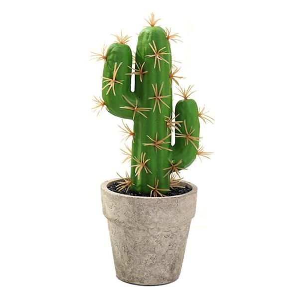 realistic potted succulent plants small fake mini simulation plant artificial green plant for home office school ornaments
realistic potted succulent plants small fake mini simulation plant artificial green plant for home office school ornaments