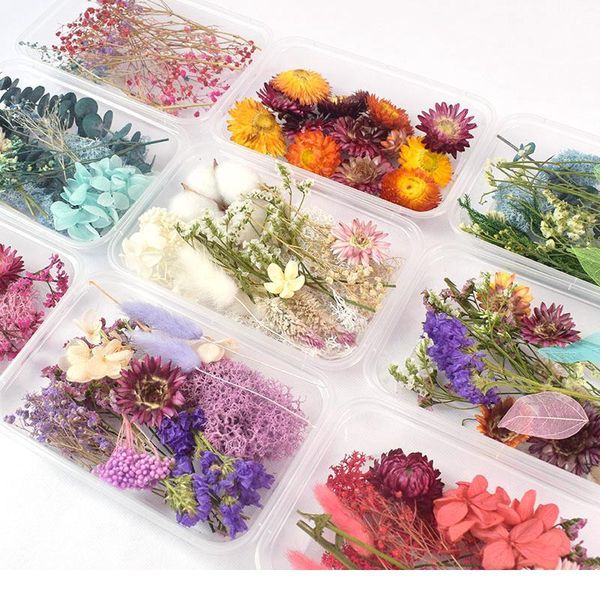 1 box real dried flower dry plants for aromatherapy candle epoxy resin pendant necklace jewelry making craft diy acc jllxky
1 box real dried flower dry plants for aromatherapy candle epoxy resin pendant necklace jewelry making craft diy acc jllxky