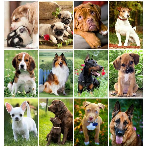 diamond painting huacan kit animal farmhouse home decor mosaic dog embroidery art full drill
diamond painting huacan kit animal farmhouse home decor mosaic dog embroidery art full drill