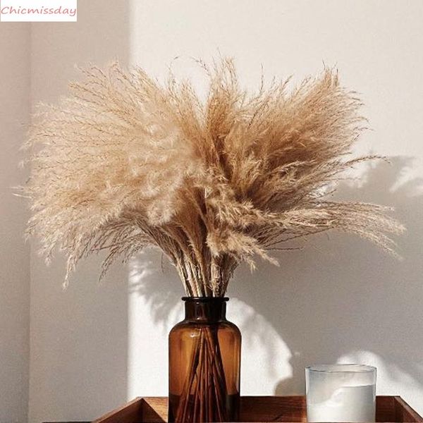 pampas grass thinker plume 30cm tall wedding decor flower bunch small pampas grass home decor real pampas grass reed natural plant ornaments
pampas grass thinker plume 30cm tall wedding decor flower bunch small pampas grass home decor real pampas grass reed natural plant ornaments
