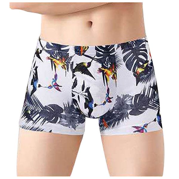 boxer knickers men breathing boxers crotchless u bolle low tail men's under d3, Black;white
boxer knickers men breathing boxers crotchless u bolle low tail men's under d3, Black;white