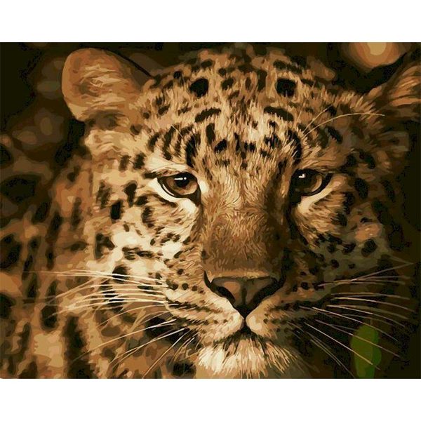 paint by number ferocious animal drawing canvas diy oil pictures by numbers kits hand painted digital painting home decor
paint by number ferocious animal drawing canvas diy oil pictures by numbers kits hand painted digital painting home decor