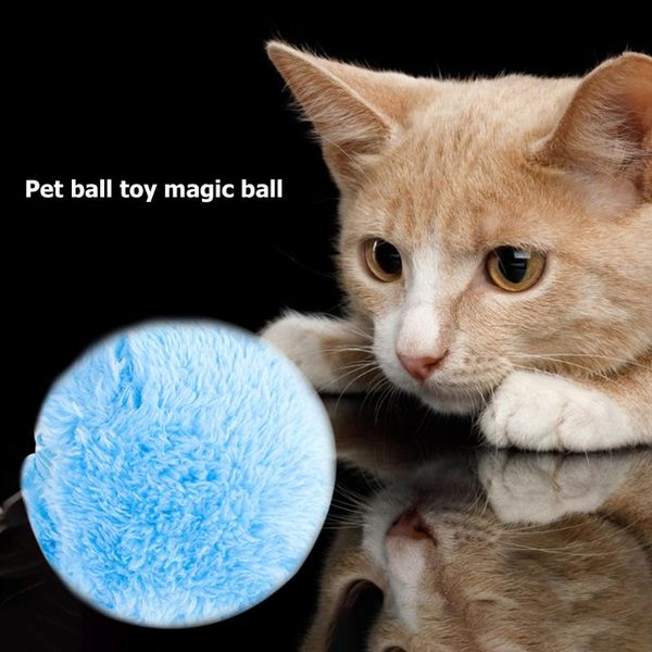 cat toys 5pcs battery powered pet electric magic roller ball traning dogs agility supplies automatic dog funny
cat toys 5pcs battery powered pet electric magic roller ball traning dogs agility supplies automatic dog funny