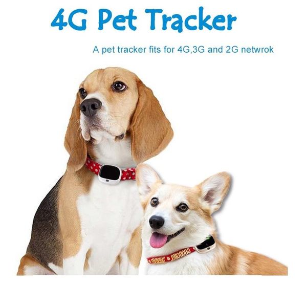 car gps & accessories 4g pet tracker rayoid professional 3g dog cat rydv43
car gps & accessories 4g pet tracker rayoid professional 3g dog cat rydv43