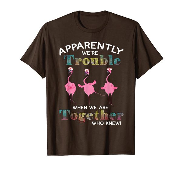 Funny flamingo we're trouble T-shirt, Mainly pictures