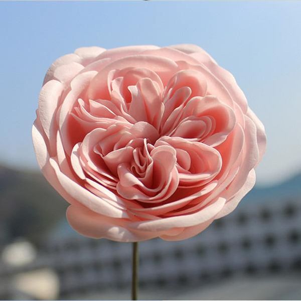 decorative flowers & wreaths 8.5cm/2pcs,artificial soap austin roses flower head,simulation scented eternal rose head for diy wedding box de
decorative flowers & wreaths 8.5cm/2pcs,artificial soap austin roses flower head,simulation scented eternal rose head for diy wedding box de
