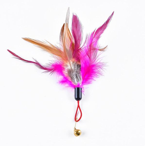 cat toys 1 pc random color chicken feather tease stick replace head three rod toy manufacturer steel wire hair
cat toys 1 pc random color chicken feather tease stick replace head three rod toy manufacturer steel wire hair