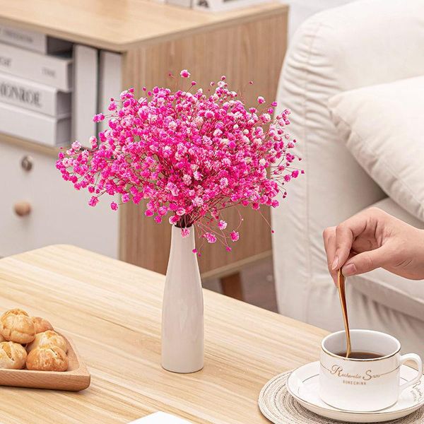 decorative flowers & wreaths gypsophila baby breath stars natural plant preserved dried home wedding christmas year decoration customized
decorative flowers & wreaths gypsophila baby breath stars natural plant preserved dried home wedding christmas year decoration customized
