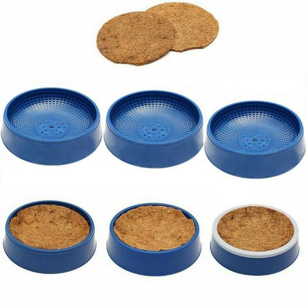 other bird supplies pigeon dehumidification egg basin nest bowl grass mat blue durable natural fiber plastic birds
other bird supplies pigeon dehumidification egg basin nest bowl grass mat blue durable natural fiber plastic birds