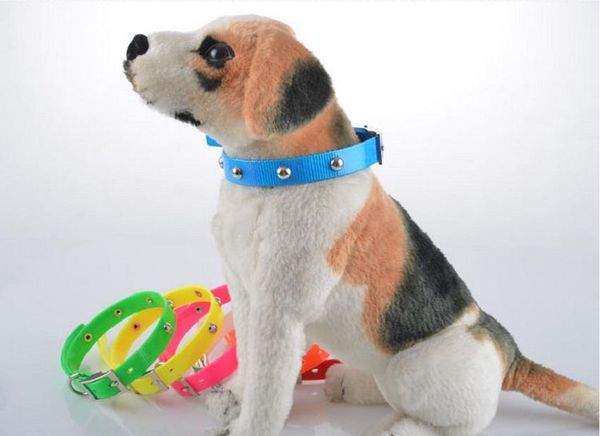l35 new colorful pet dog tpu collar waterproof puppy dog dirt resistant lead necklace leash for pets
l35 new colorful pet dog tpu collar waterproof puppy dog dirt resistant lead necklace leash for pets