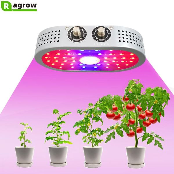 1100w full spectrum cob indoor hydroponics plants led grow lights for vegetable flower fruit greenhouse plant growth bulbs lamps
1100w full spectrum cob indoor hydroponics plants led grow lights for vegetable flower fruit greenhouse plant growth bulbs lamps