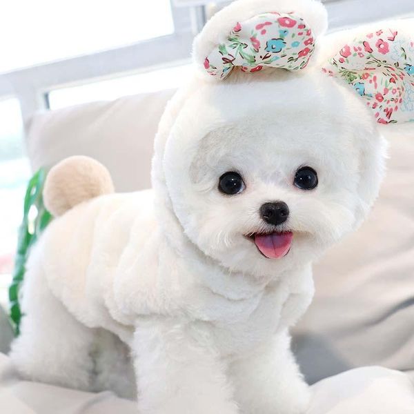 dog apparel autumn and winter pet clothes teddy plush coat vip bichon hiromi cat puppies small dogs
dog apparel autumn and winter pet clothes teddy plush coat vip bichon hiromi cat puppies small dogs