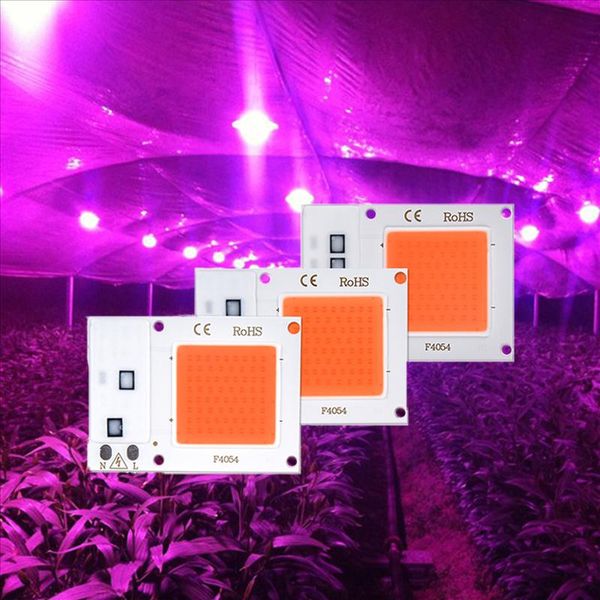 bulbs high power lamp chip full spectrum 220v 110v energy-saving phyto plant bulb flood light spotlight 10w 20w 30w
bulbs high power lamp chip full spectrum 220v 110v energy-saving phyto plant bulb flood light spotlight 10w 20w 30w